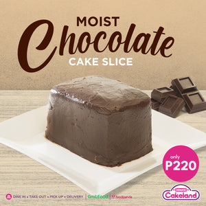 MOIST CHOCOLATE CAKE SLICE